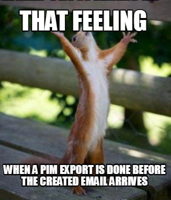 that-feeling-when-a-pim-export-is-done-before-the-created-email-arrives