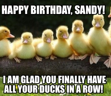 Meme Creator - Funny Happy Birthday, Sandy! I am glad you finally have all  your ducks in a row! Meme Generator at !