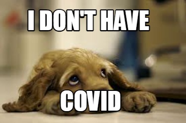 i-dont-have-covid