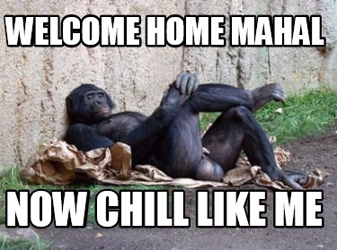 welcome-home-mahal-now-chill-like-me