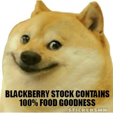 blackberry-stock-contains-100-food-goodness