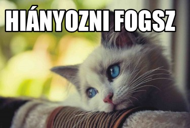 hinyozni-fogsz