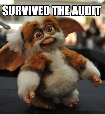 survived-the-audit