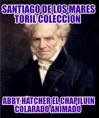 santiago-de-los-mares-toril-coleccion-abby-hatcher-el-chapiluin-colarado-animado6135