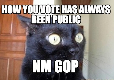 how-you-vote-has-always-been-public-nm-gop