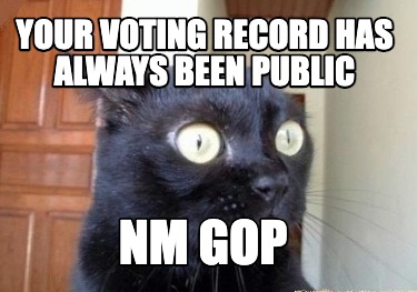 your-voting-record-has-always-been-public-nm-gop