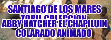 santiago-de-los-mares-toril-coleccion-abby-hatcher-el-chapiluin-colarado-animado6018