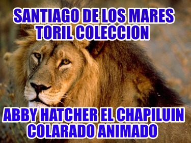 santiago-de-los-mares-toril-coleccion-abby-hatcher-el-chapiluin-colarado-animado428