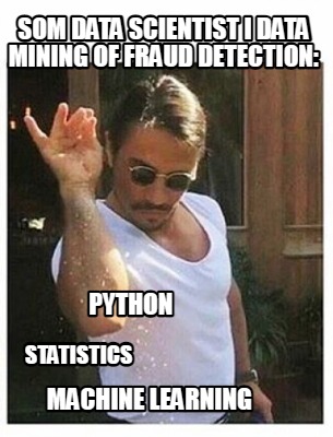 som-data-scientist-i-data-mining-of-fraud-detection-machine-learning-python-stat