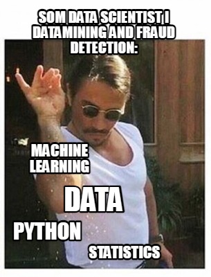 som-data-scientist-i-datamining-and-fraud-detection-machine-learning-data-python