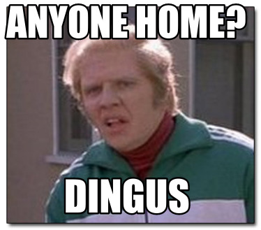 anyone-home-dingus