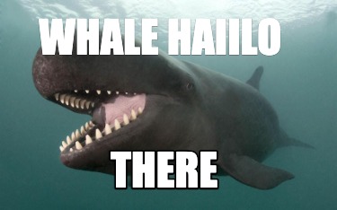 whale-haiilo-there
