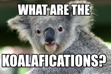 what-are-the-koalafications6