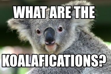 what-are-the-koalafications1