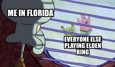 me-in-florida-everyone-else-playing-elden-ring