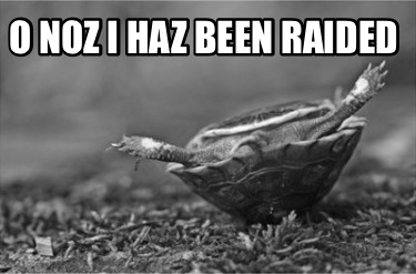 o-noz-i-haz-been-raided