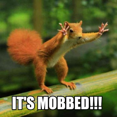 its-mobbed