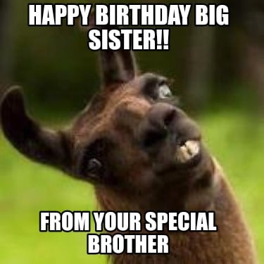 happy-birthday-big-sister-from-your-special-brother