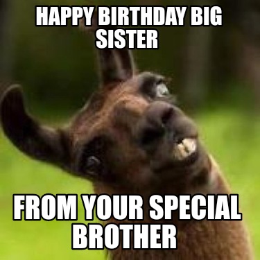 Meme Creator - Funny Happy Birthday big sister From your special brother Meme Generator at ! Meme Creator - Funny Happy Birthday big sister From your special brother Meme Generator at !