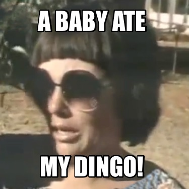 Baby my dingo ate