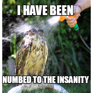 i-have-been-numbed-to-the-insanity