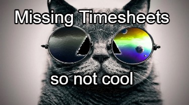 missing-timesheets-so-not-cool