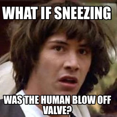 what-if-sneezing-was-the-human-blow-off-valve3