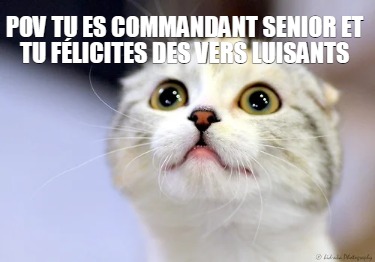 pov-tu-es-commandant-senior-et-tu-flicites-des-vers-luisants