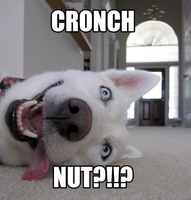 cronch-nut
