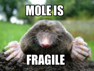 mole-is-fragile