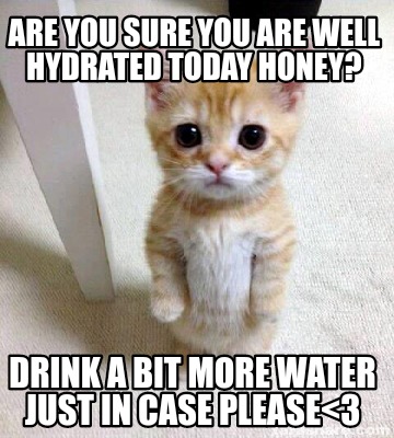 Meme Creator - Funny Are you sure you are well hydrated today honey ...