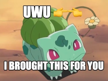 uwu-i-brought-this-for-you