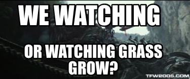 we-watching-or-watching-grass-grow