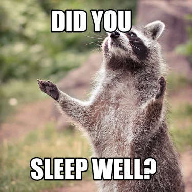 Meme Creator - Funny Did you Sleep well? Meme Generator at MemeCreator.org!