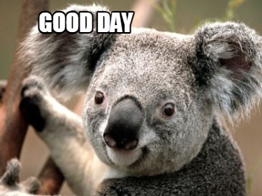 good-day946