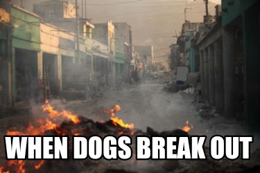 when-dogs-break-out