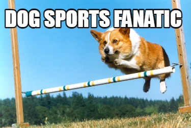 dog-sports-fanatic