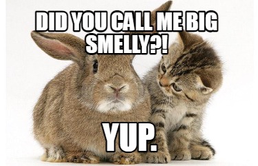 did-you-call-me-big-smelly-yup