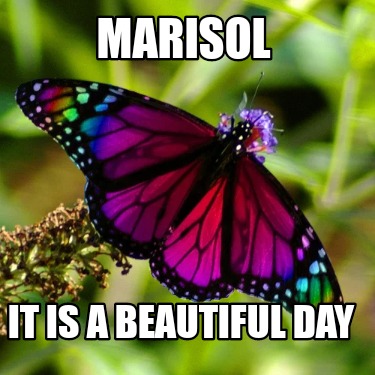 marisol-it-is-a-beautiful-day