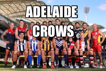 adelaide-crows