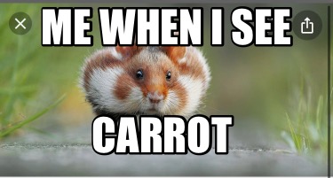 me-when-i-see-carrot