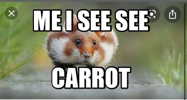 me-i-see-see-carrot