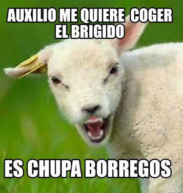 auxilio-me-quiere-coger-el-brigido-es-chupa-borregos