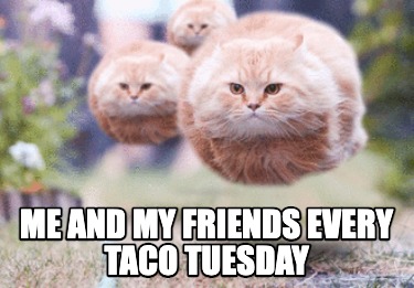 me-and-my-friends-every-taco-tuesday