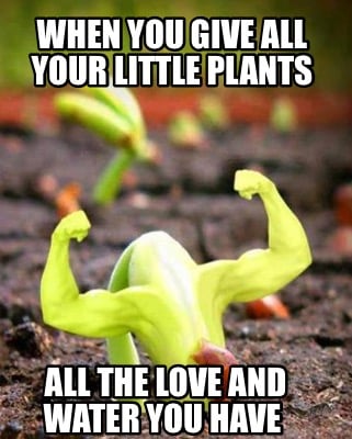 when-you-give-all-your-little-plants-all-the-love-and-water-you-have
