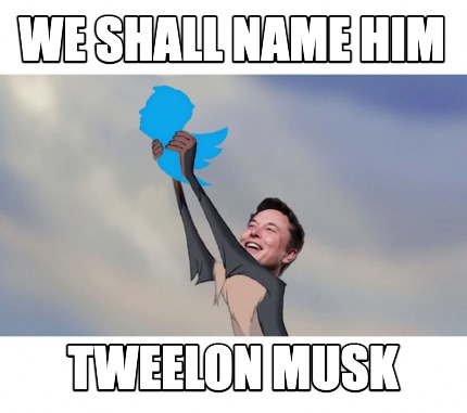we-shall-name-him-tweelon-musk