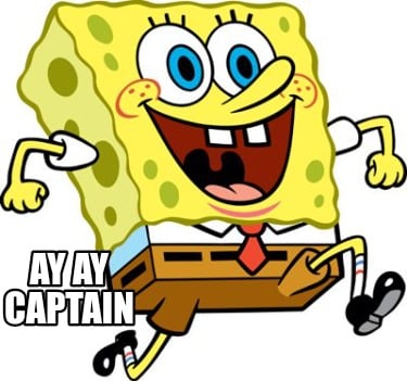 ay-ay-captain05