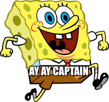 ay-ay-captain59