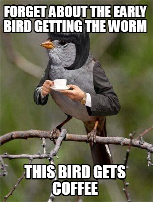 forget-about-the-early-bird-getting-the-worm-this-bird-gets-coffee