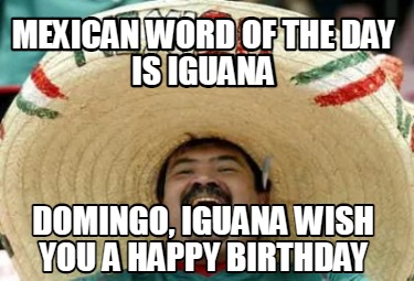 mexican-word-of-the-day-is-iguana-domingo-iguana-wish-you-a-happy-birthday